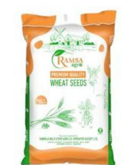 Wheat Seeds